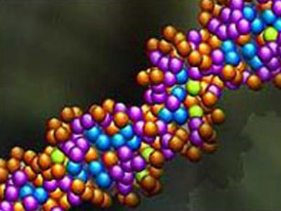 Θωρακίστε το DNA σας!